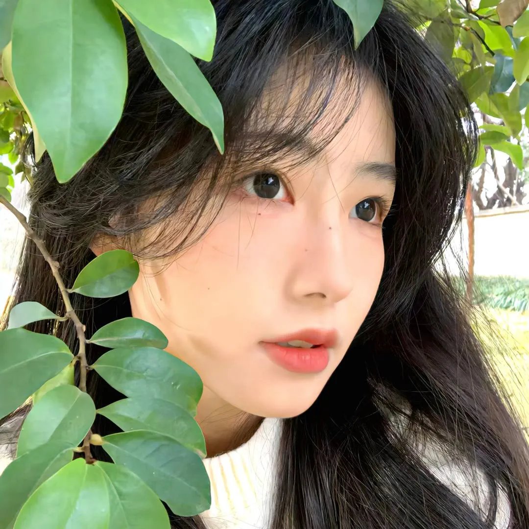 圣约之外：摩西的故事